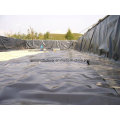 HDPE Geomembrane/Pond Liner/LDPE Geomembrane